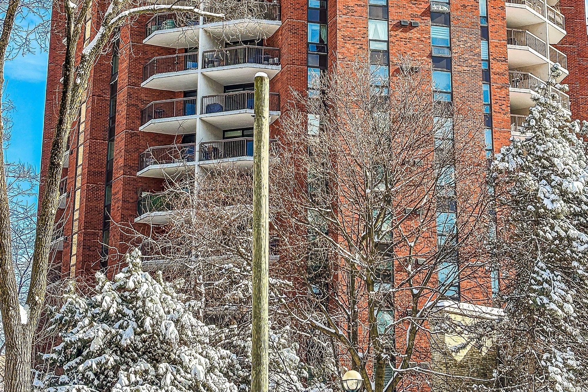 Red-brick Toronto condominium tower with balconies behind snow-covered trees on a clear winter day